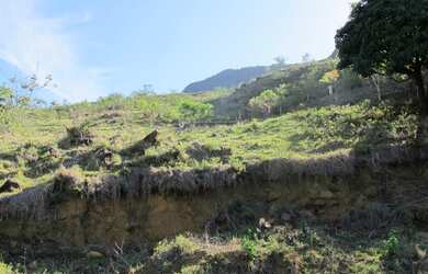 Imagem 5: Terreno de 30x100 mts no km12 da estrada Bananal/Bocaina
