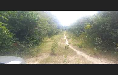 Imagem 6: Terreno de 5 ha na Buquinha