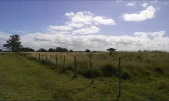 Imagem 3: Fazenda em parauapebas
