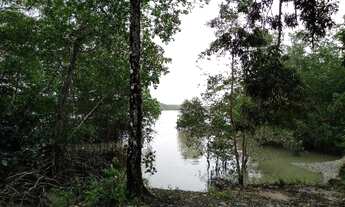 Imagem 2: R$160 mil Fazenda 118 hectares em Marapanim região pra criação de camarão