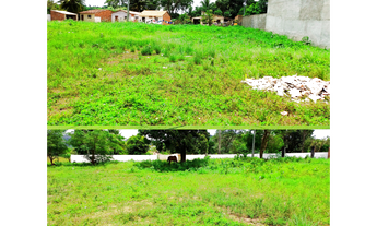 Imagem 2: Terreno em Guarabira