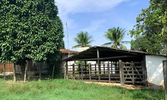 Imagem 3: Fazenda em Conceição do Jacuipe