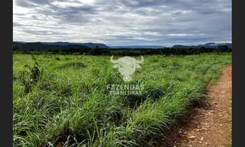 Imagem 3: FAZENDA PARA PECUÁRIA DE 563 ALQUEIRES (4.84) EM MONTE ALEGRE DE GOIÁS – GO