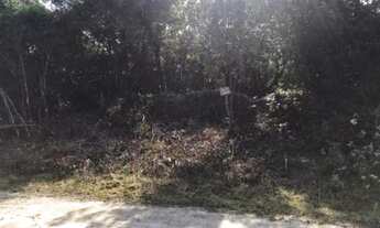 Imagem: Terreno no bairro Jardim Regina, em Itanhaém