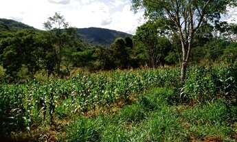 Imagem 6: Terreno de 9 há em Itaguara MG