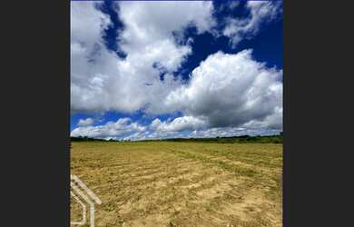 Imagem 7: TERRENO DE 8.7H PRÓXIMO A CE 187 EXCELENTE PARA AGRICULTURA