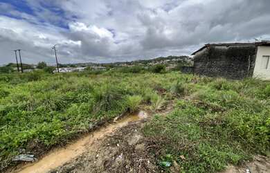 Imagem 2: Dois terrenos no loteamento Guajará - 125m² cada