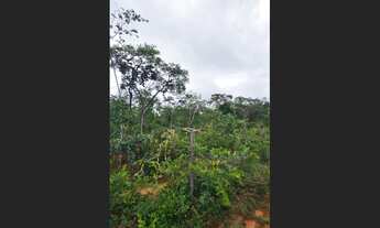 Imagem 4: Fazenda com 35 ha, Norte de Minas, possui documentação