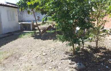 Imagem 5: Apartamento com Geladeia,Fogão,Cama