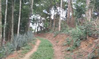 Imagem 6: VENDE-SE, SÍTIO, CONCEIÇÃO DE MACABU-RJ