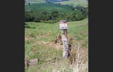 Imagem 7: Jardim alegre chácara 2 alqueires a 5 Kilometros jardim alegre PR