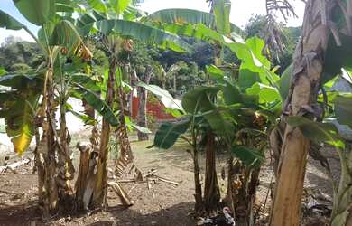 Imagem 4: Chácara Chácara com 8 dormitórios