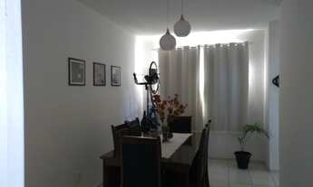 Imagem 6: Alpha class aruana