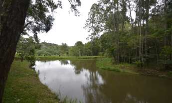Imagem 6: Sítio à Venda em Juquitiba SP com 10,11 alqueires, 5 casas, lagos e córrego