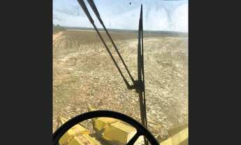 Imagem 6: 135 Alqs Com Soja Ótima Logística Região Barra do Ouro TO