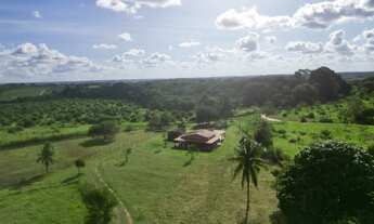 Imagem 2: Fazenda em Mata de São joao