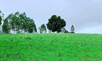 Imagem 5: Fazenda em Brejoes