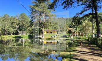 Imagem 2: Sítio à Venda em Juquitiba-SP com 6,5 Alqueires, 3 belos lagos e nascente!