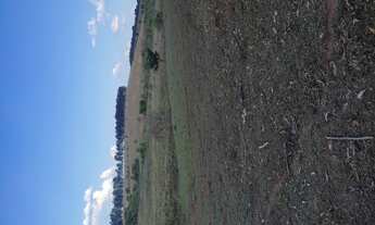 Imagem 6: Terreno de 49 há morro do ferro em Oliveira