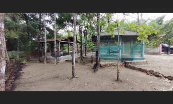 Imagem 5: Sítio por R$79.999 mil reais 150x60 sentido Marapanim