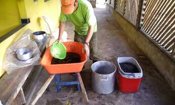 Imagem 4: Açaizal a 30 km de Castanhal por 500 mil reais 100 hectares, uns 15 mil pés de açaí