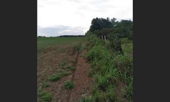 Imagem 2: Fazenda no municipio de Araguacema - TO