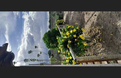 Imagem 7: Lindo Sítio/Chácara/Casa a Venda na Chapada Diamantina