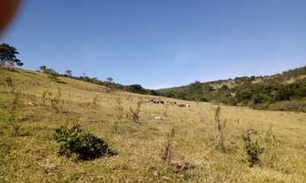 Imagem 2: Fazenda 53 há Passa Tempo