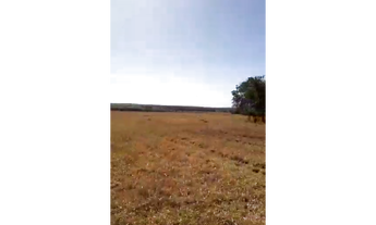 Imagem 2: 206 Alqs Arrendamento Disponivel Pra Soja Montes Claros de GO