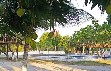 Imagem 6: CÓD.:1-630 Pousada maravilhosa em região de Praia e Rio/SE localização privilegiada