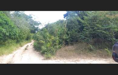 Imagem 7: Terreno de 5 ha na Buquinha