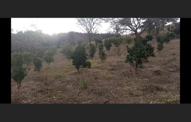 Imagem 12: Fazenda de 240 há em Carmo da Mata MG