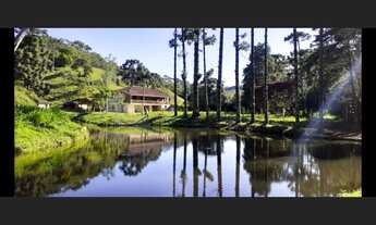 Imagem 4: Fazenda de 310 há em Liberdade MG