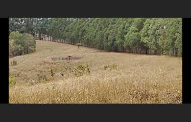 Imagem 4: Terreno de 17 ha em Passa Tempo MG