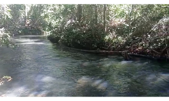 Imagem 3: 206 Alqs Disponiveis Pra Arrendar Pra Soja Abreulandia TO