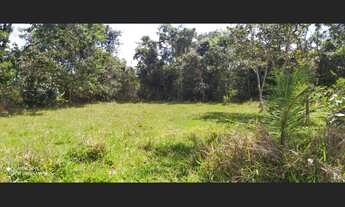 Imagem 4: Chácaras em Florestal