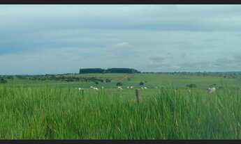 Imagem 3: Fazenda com 303 alq, dupla aptidao