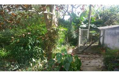 Imagem 4: Vende-se Chácara formada