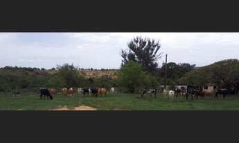 Imagem: Fazenda de 332 ha em Curvelo