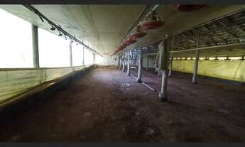 Imagem 3: Granja para 14.000 frangos Taió - SC