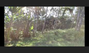 Imagem: Sítio de 10 há em Passa Tempo MG