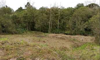 Imagem 7: TERRRENO COM 2.600M2 EM MAFRA-SC