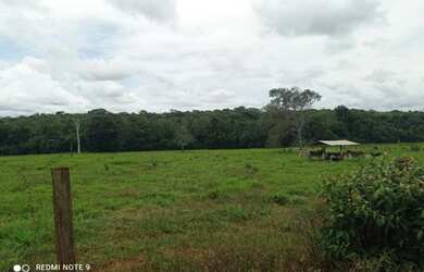 Imagem 2: 240 Alqs Disponiveis Pra Arrendar Pra Soja Fazenda Nova GO