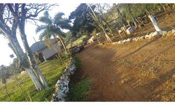 Imagem 4: Vende se sítio de 3 harqueiros