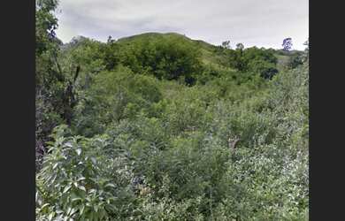 Imagem 4: Vendo propriedade rural 36 hectares