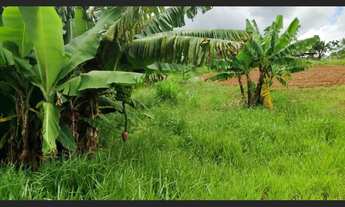 Imagem 2: Tamarana chácara troco por carro chácara 5.600 metros a 1 km Mauá da serra PR
