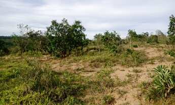 Imagem 2: Fazenda de 104 há em Itatiaiuçu MG