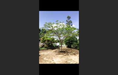 Imagem 4: Fazendinha de 18 há em Passa Tempo MG