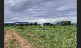 Imagem 6: FAZENDA PARA PECUÁRIA DE 563 ALQUEIRES (4.84) EM MONTE ALEGRE DE GOIÁS – GO