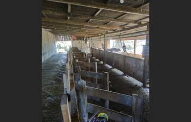 Imagem 5: Chácara com terreno de 7.000m² em Campo Alegre